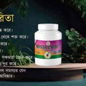 মিসাইল বিট